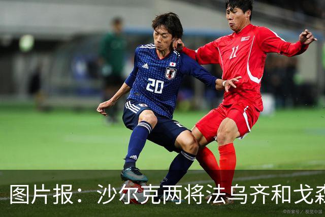 图片报：沙尔克两将法乌齐&戈森斯严重撞伤，将缺席杯赛