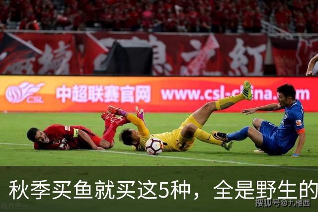 秋季买鱼就买这5种，全是野生的，人工养不了，比养殖鱼更香