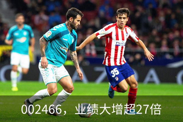 002466，业绩大增超27倍